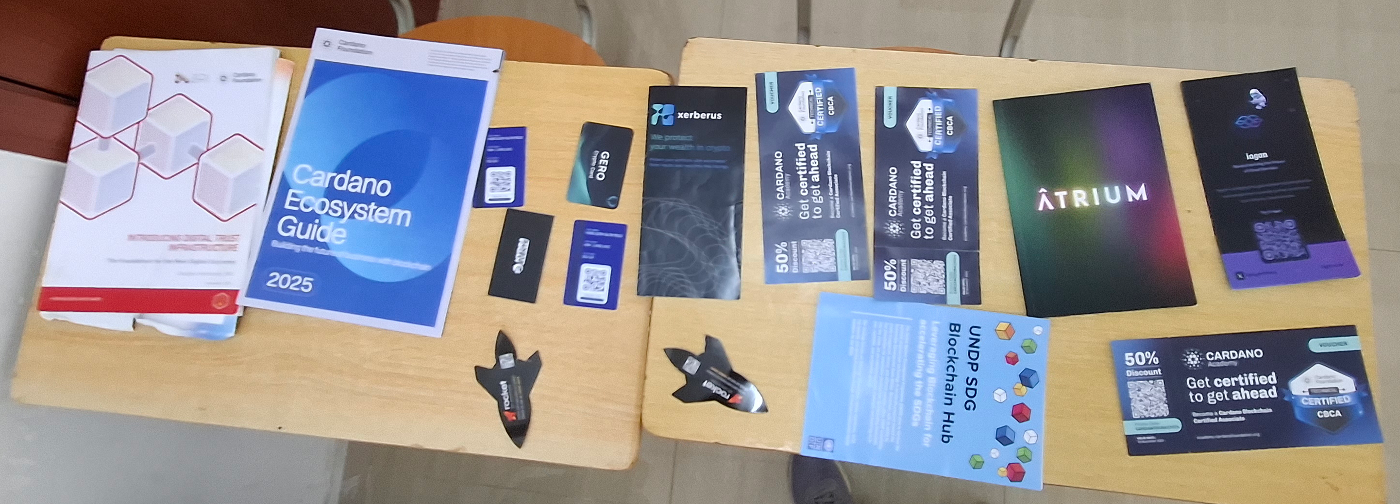 ZAM Hub - Flyers of Cardano projects, Cardano literature